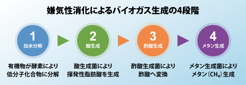 嫌気性消化によるバイオガス生成メカニズム 4つの段階