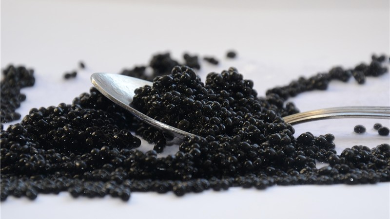 北海道のバイオガスプラントで「鹿追キャビア」販売開始