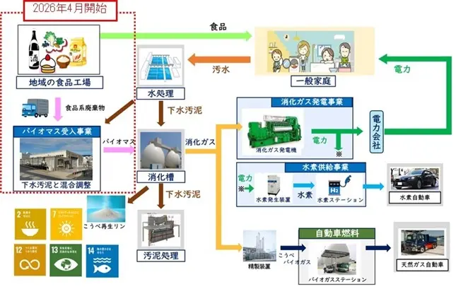神戸市が下水処理場で食品廃棄物を受け入れる背景