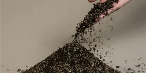 福岡市が下水汚泥から再生リン回収