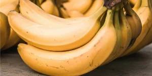 ANAフーズがバナナ食品残渣でバイオガス発電